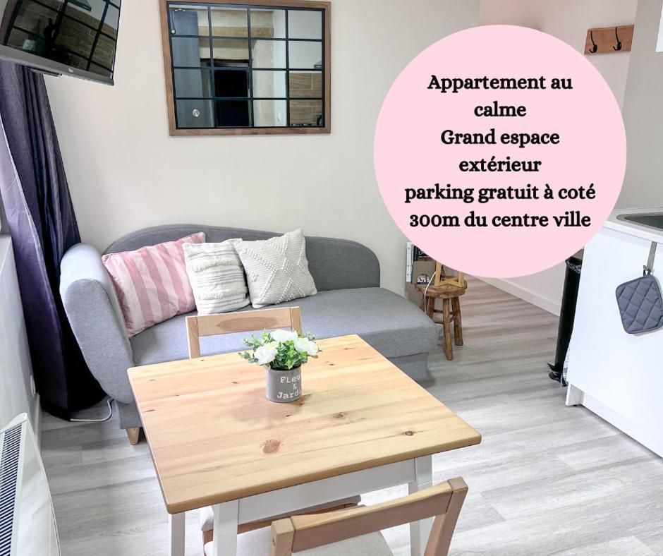 Le Badebec, Appt Dans Maison Typique Avec Jardin Prive Chinon Luaran gambar